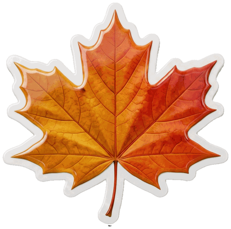 Golden Autumn Maple